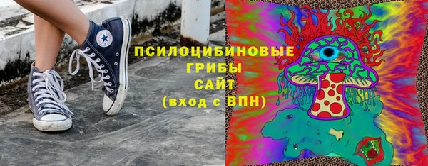 тгк Богородицк